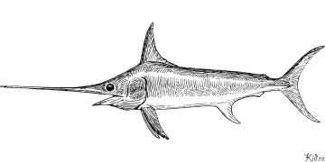 sturgeon Kaca Pewarna Sing Bisa Dicithak